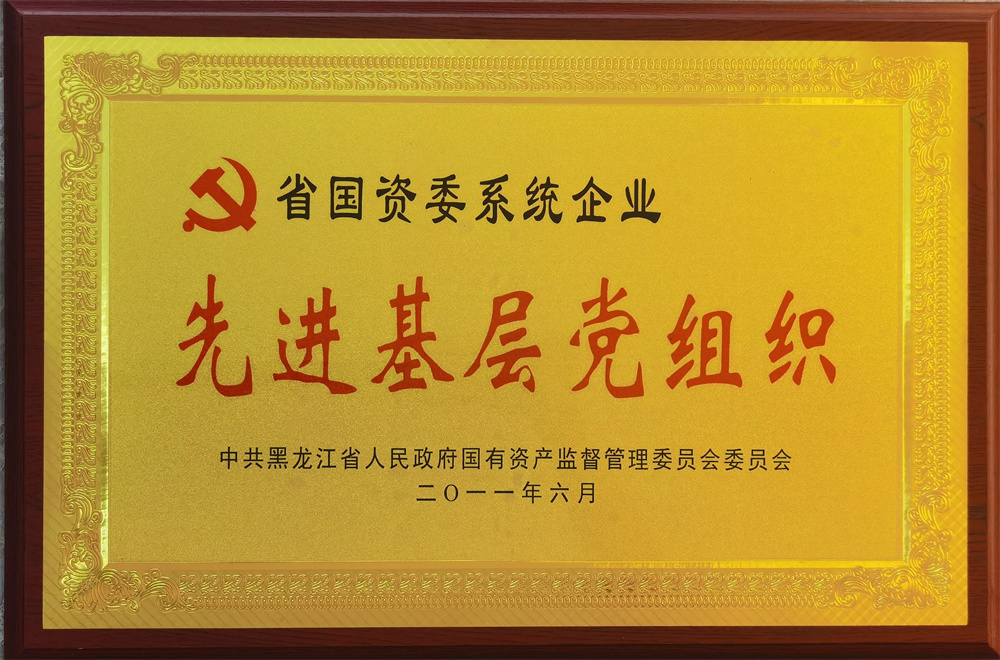 2010年度先進基層黨組織